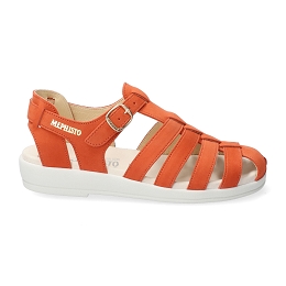 TERRACOTTA
