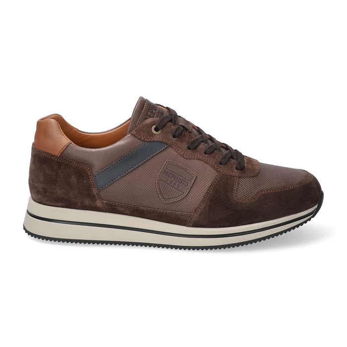 <span>greg</span><br><span>VELSPORT 3651/ra. 6151/6145/6135</span><br><span>DARK BROWN</span>