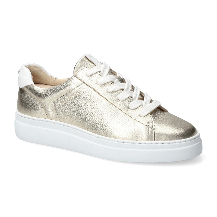 <span>dotty</span><br><span>CEYLAN 9902/softy 1230</span><br><span>GOLD</span>9044101_2